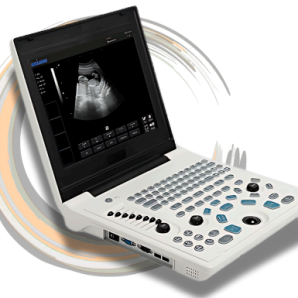 Laptop Ultrasound Diagnostic System